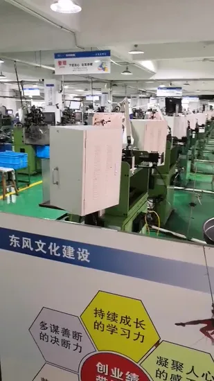 Molle industriali in miniatura SS304 nei negozi di ferramenta